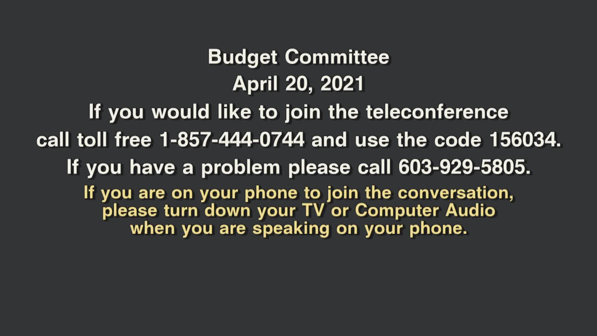 Thumbnail image for Budget Committee, April 20, 2021